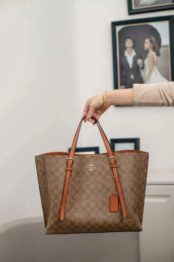 Luxury Brand Co-ach Mollie Tote bag for Women
