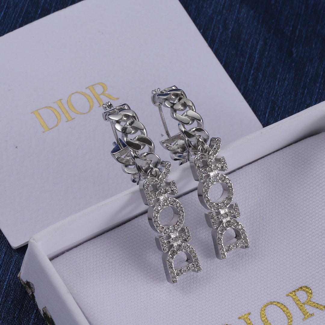 Dior Hanging Earrings for Women