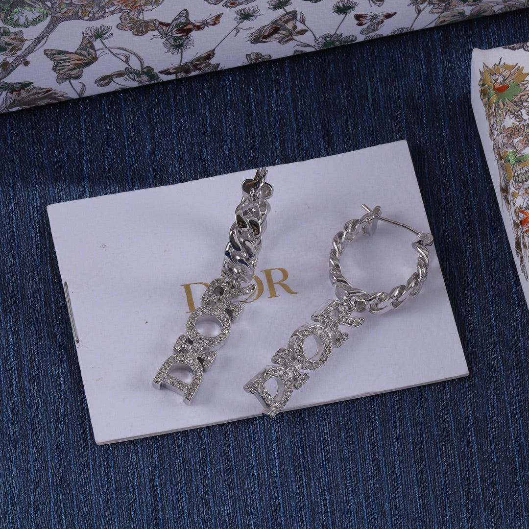 Dior Hanging Earrings for Women