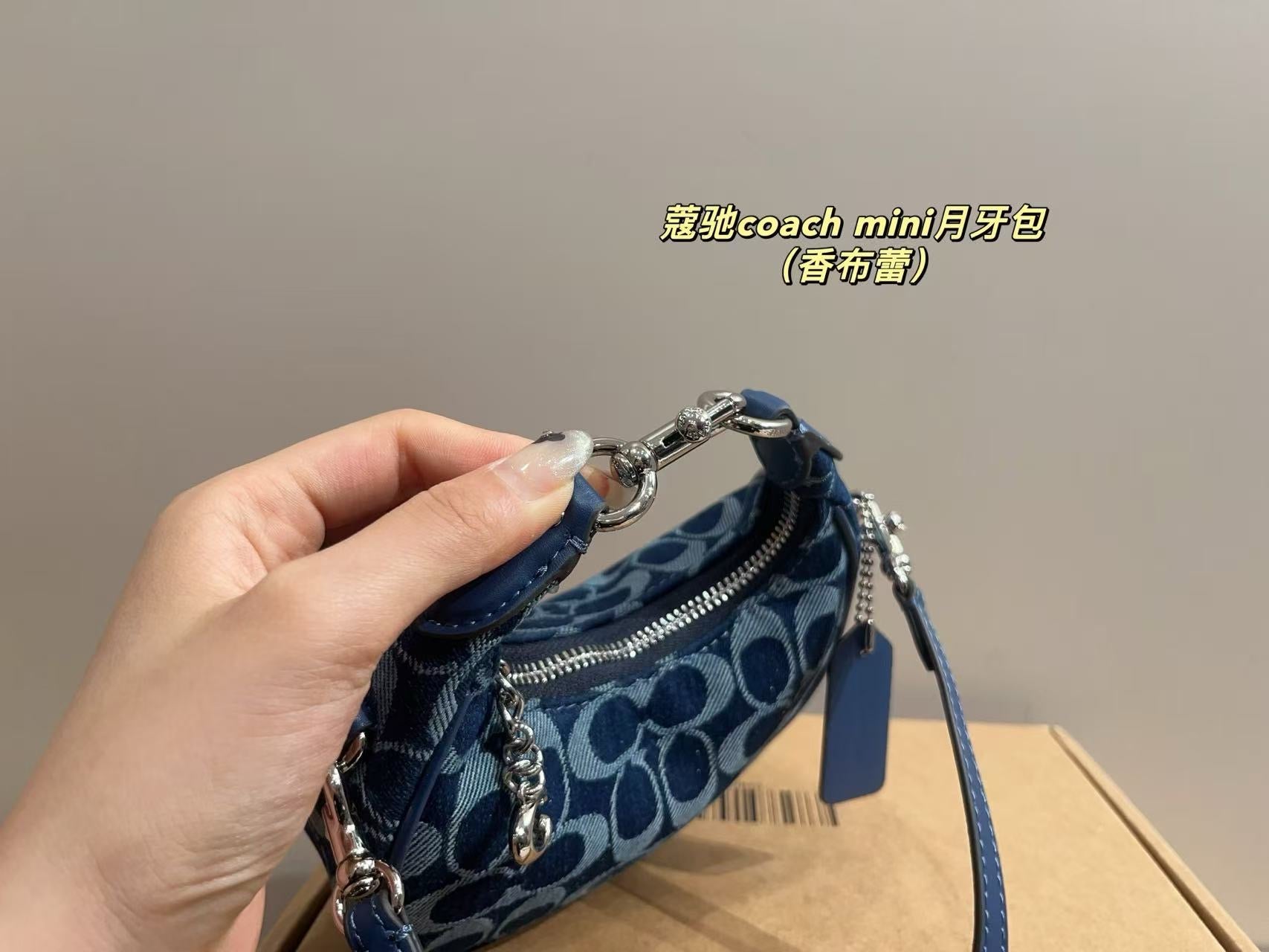 Coach Carmen Mini Crossbody bag (pre order)
