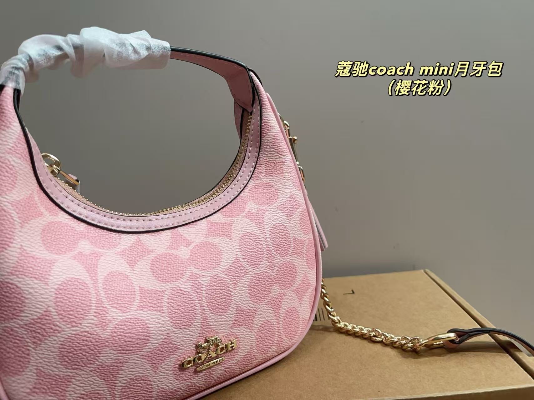 Coach Carmen Mini Crossbody bag (pre order)