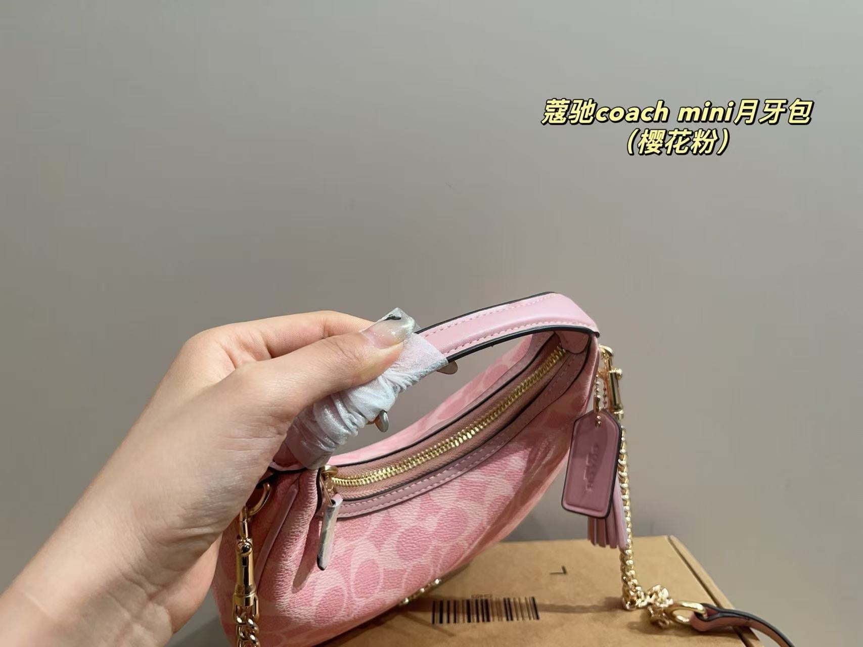 Coach Carmen Mini Crossbody bag (pre order)