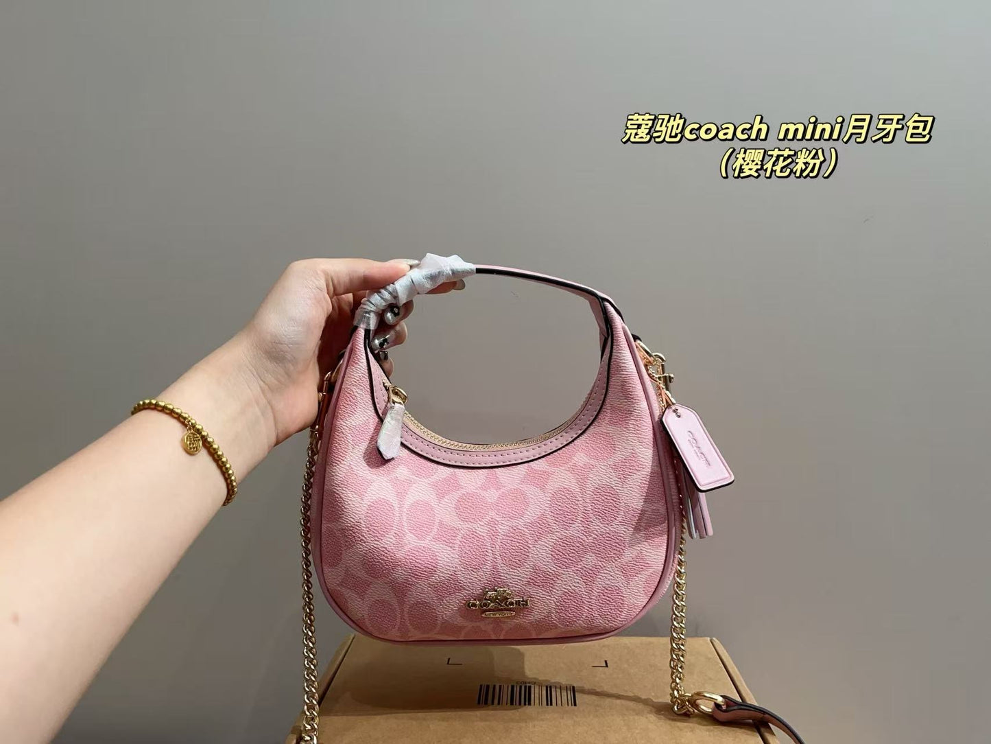 Coach Carmen Mini Crossbody bag (pre order)