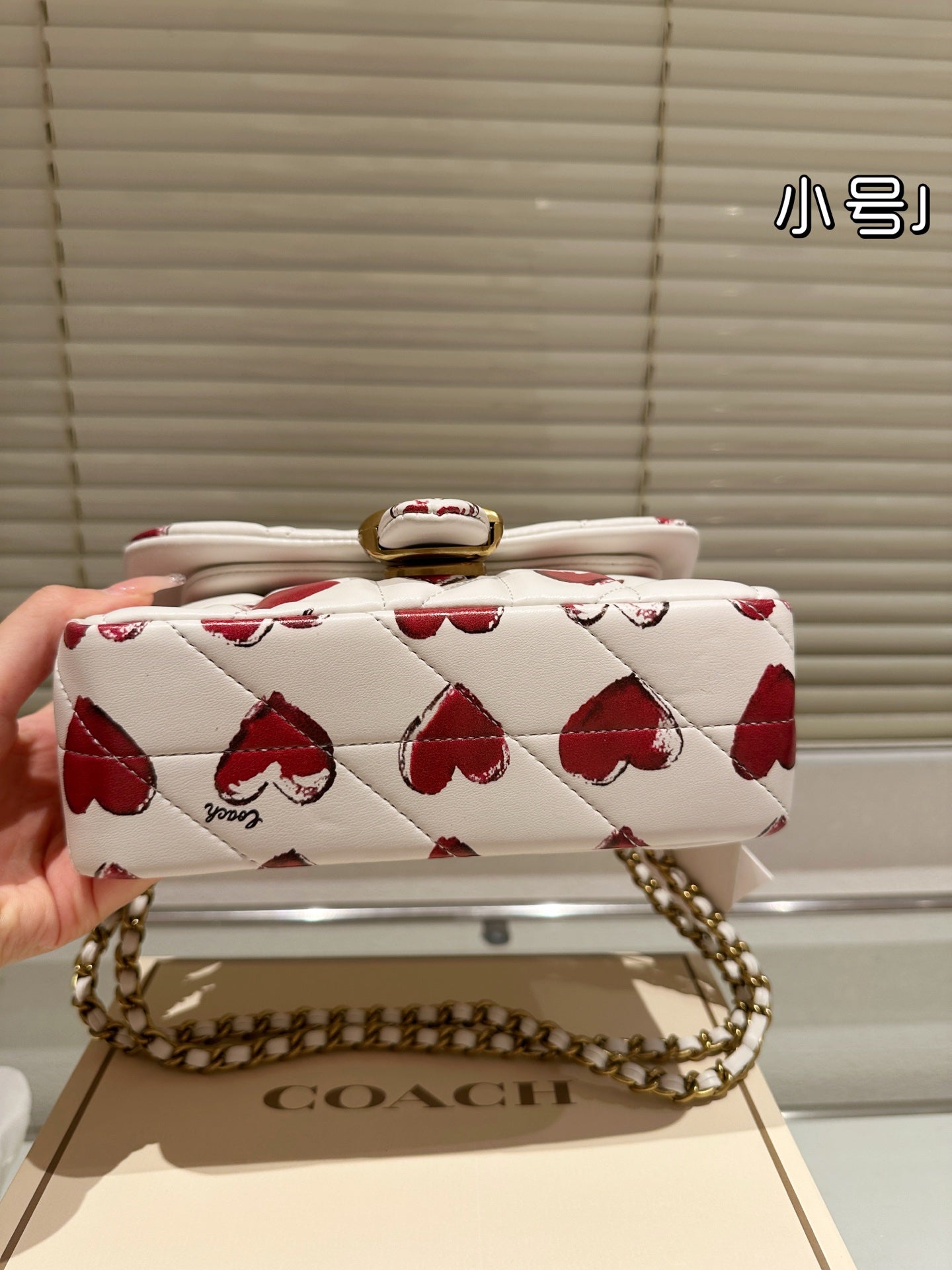 Luxury Brand Co-ach Tabby 20 Quilted with Heart Prints Shoulder Bag (Pre Order)