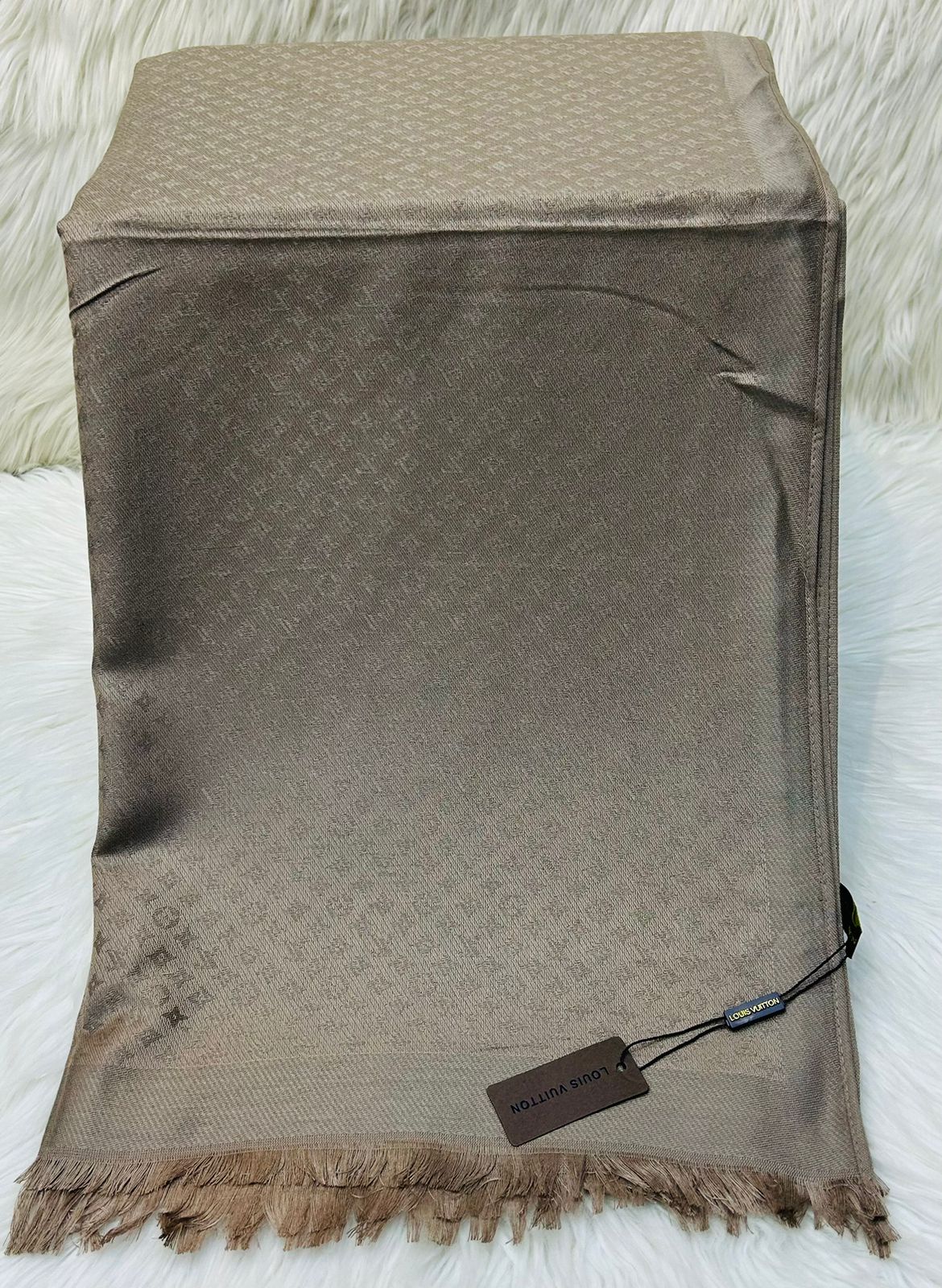 Louis Vuitton LV Scarf 5