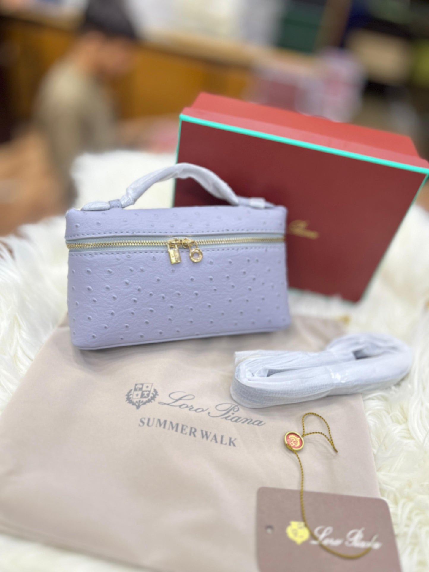 Loro Piana Extra Pocket Lunch Box Bag Light blue