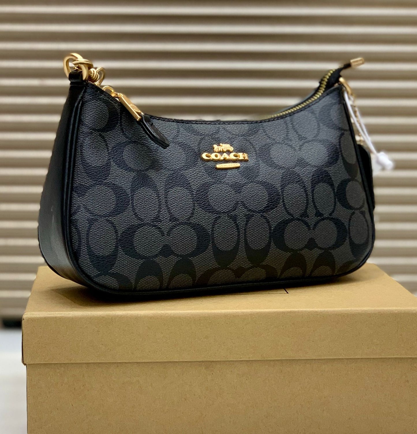 Premium Quality Co-ach Teri Bag for Women