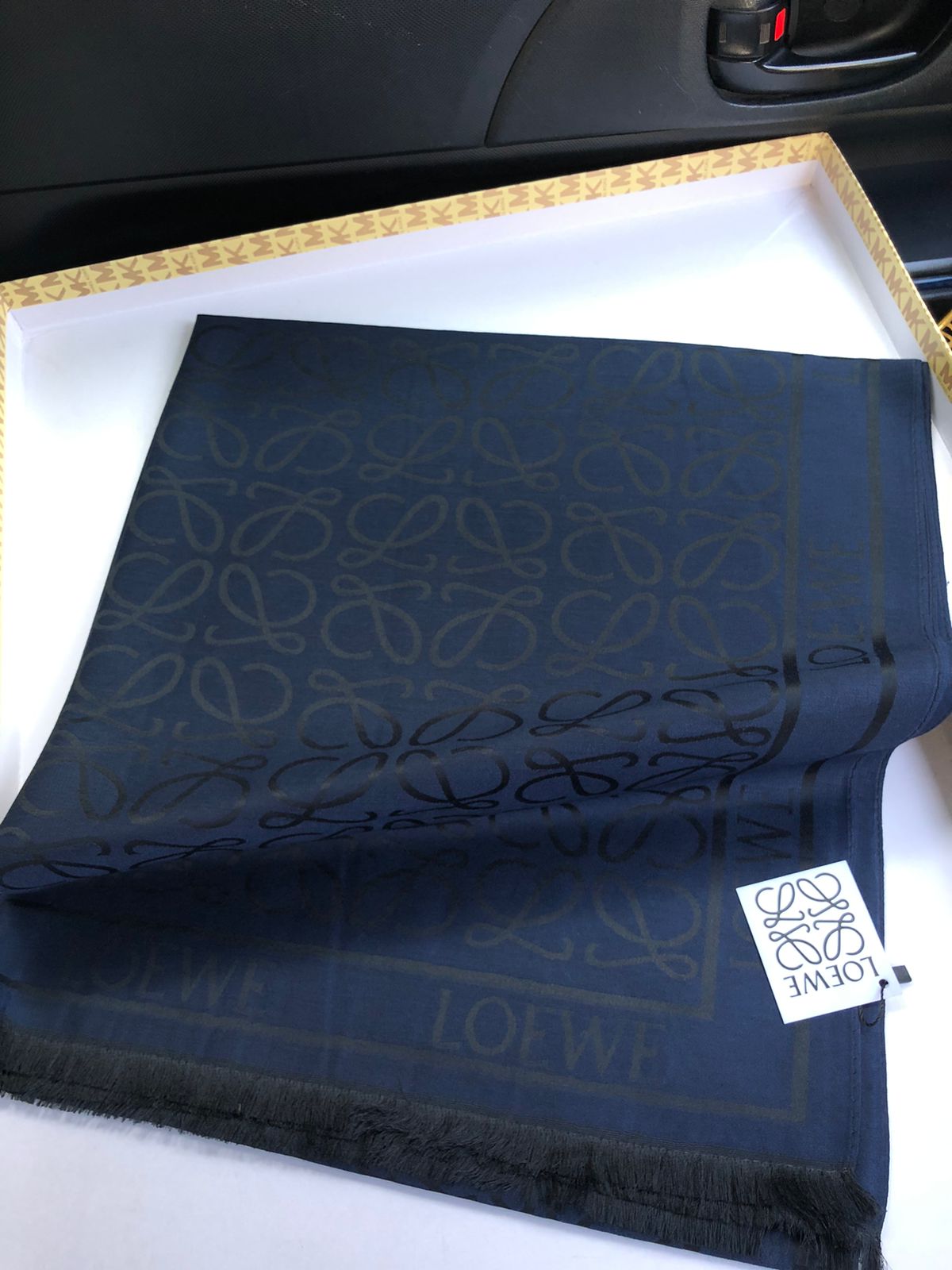 Loewe Silk Shawl for Women