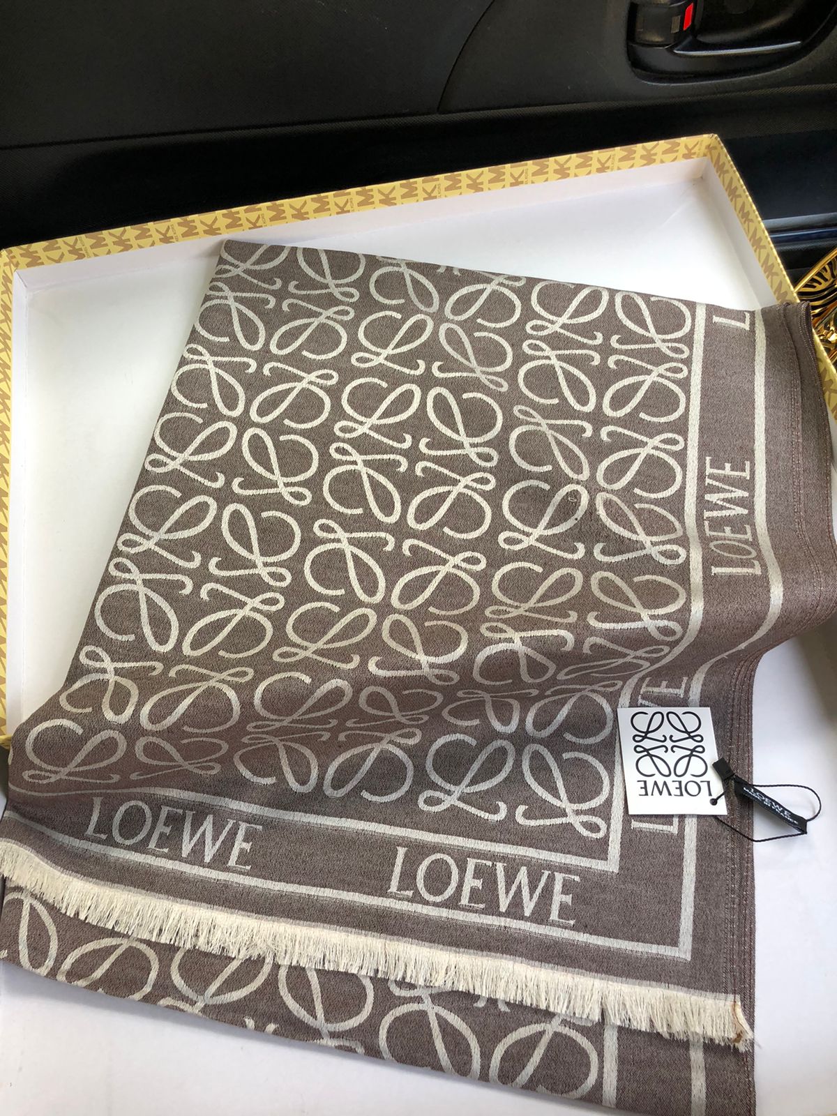 Loewe Silk Shawl for Women