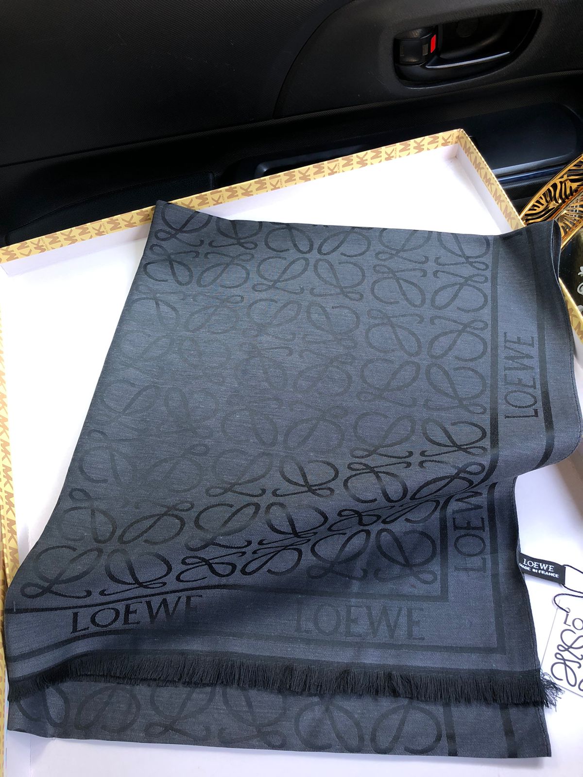Loewe Silk Shawl for Women