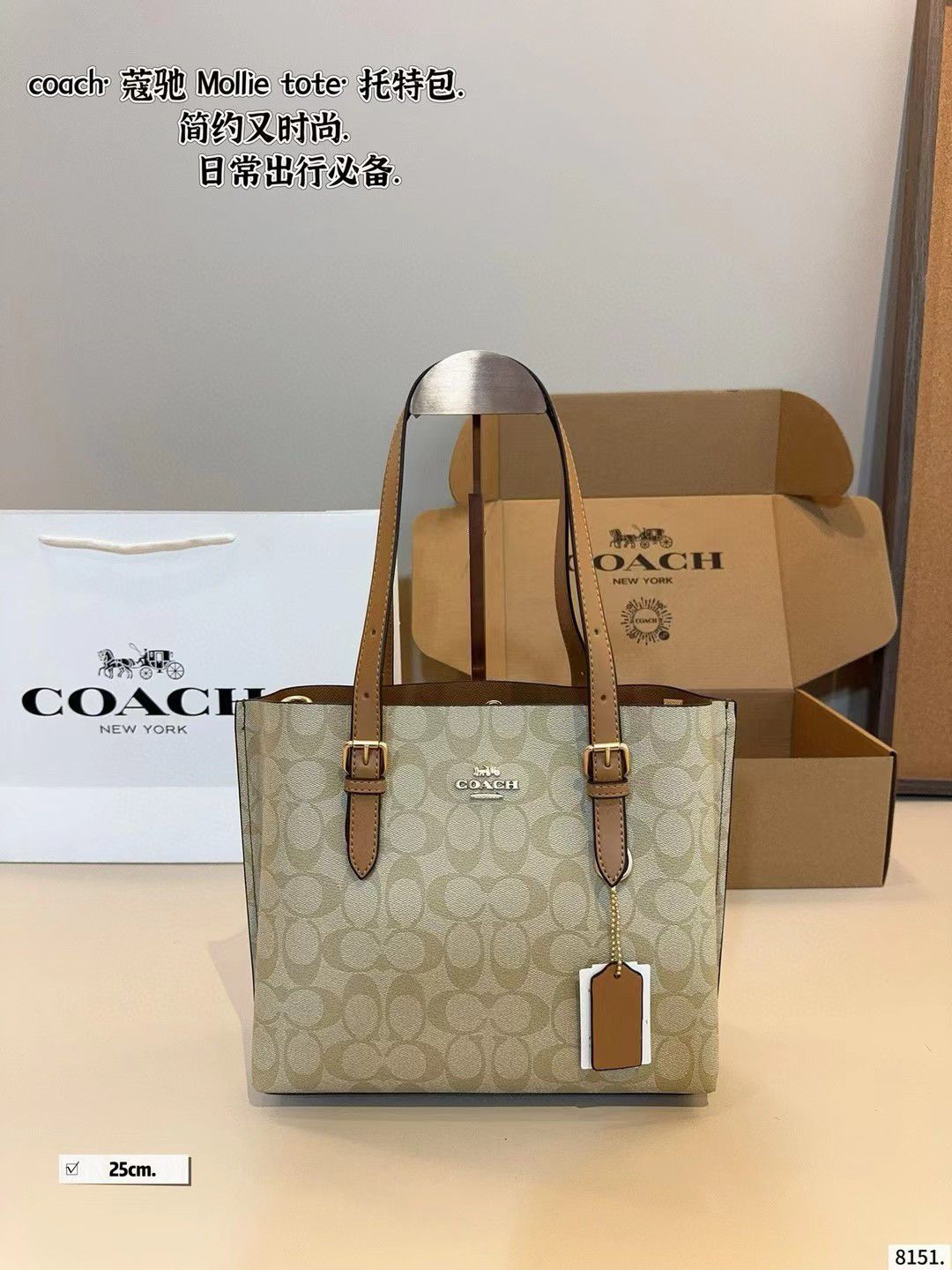 Luxury Brand Co-ach Mollie Tote bag for Women