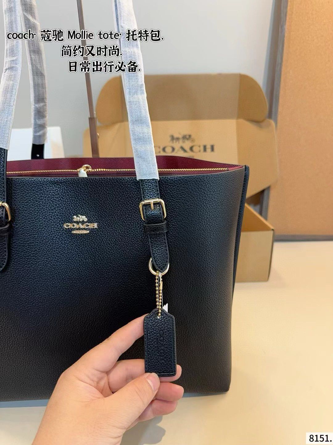 Luxury Brand Co-ach Mollie Tote bag for Women