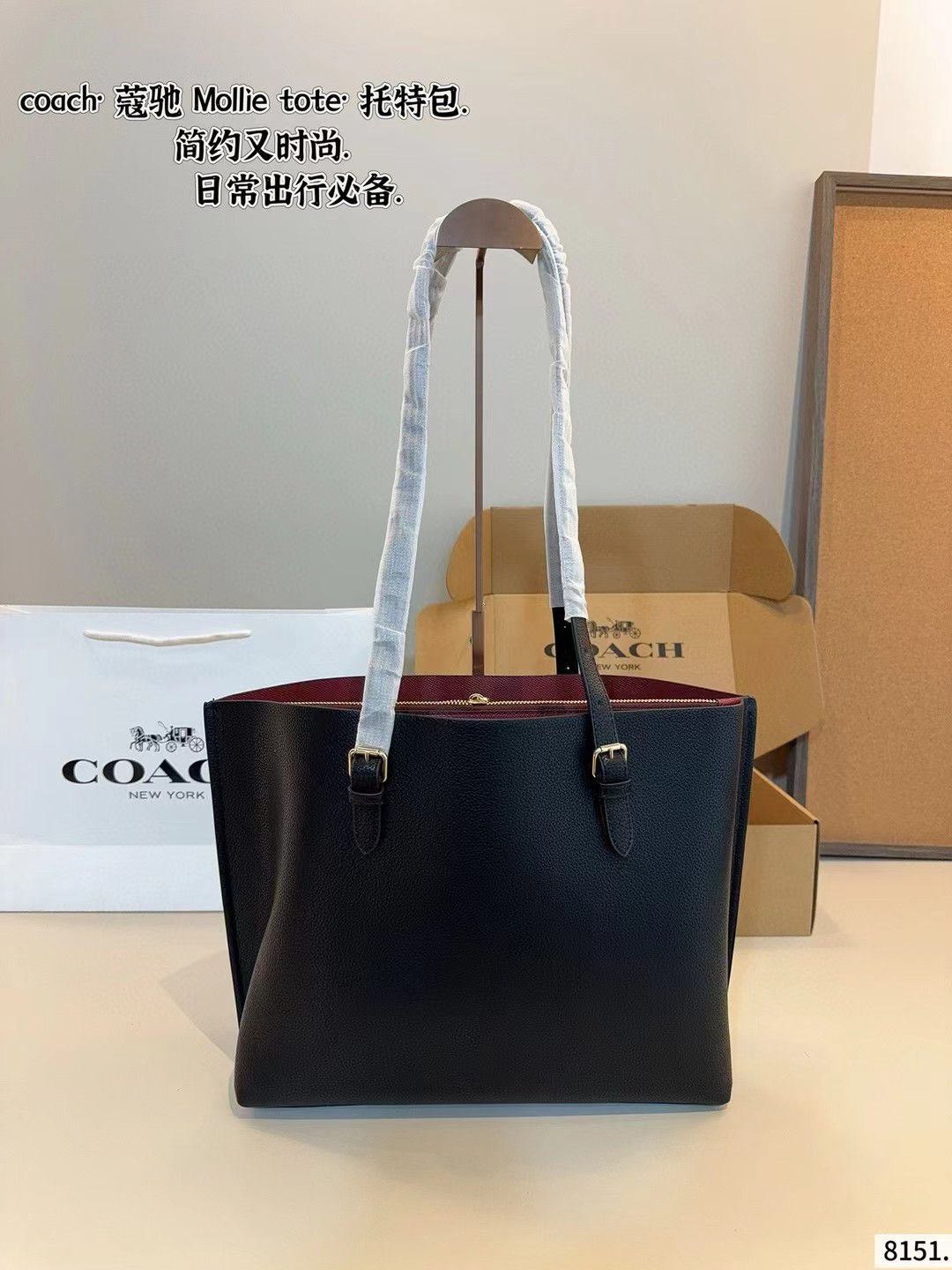 Luxury Brand Co-ach Mollie Tote bag for Women