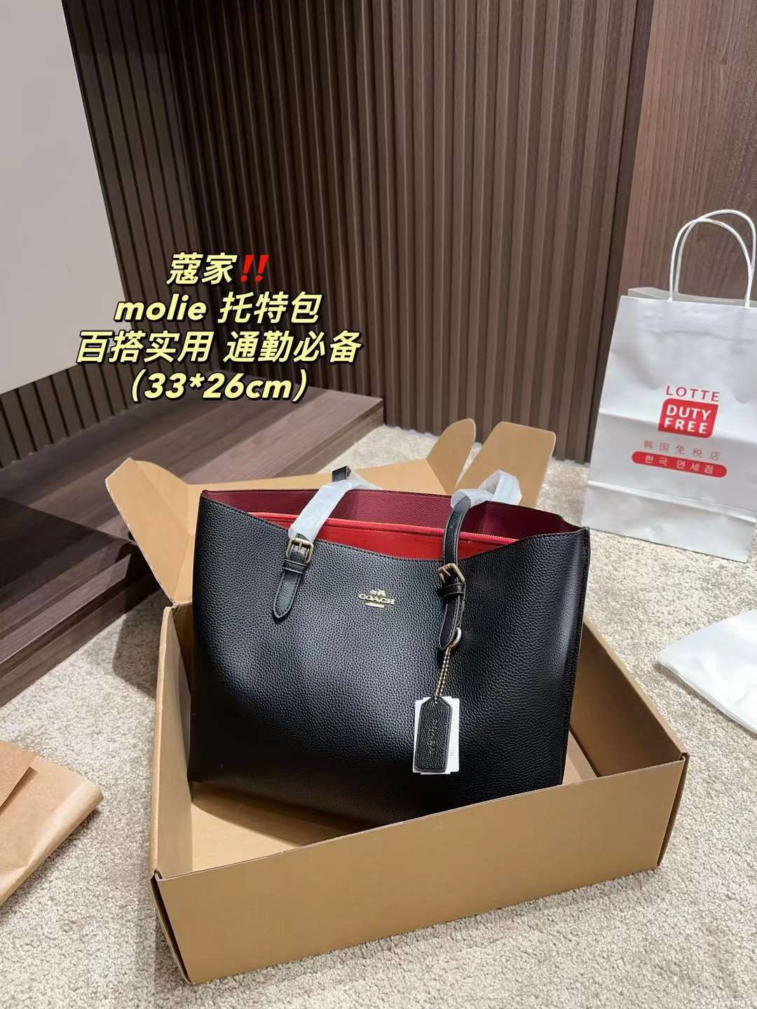 Luxury Brand Co-ach Mollie Tote bag for Women