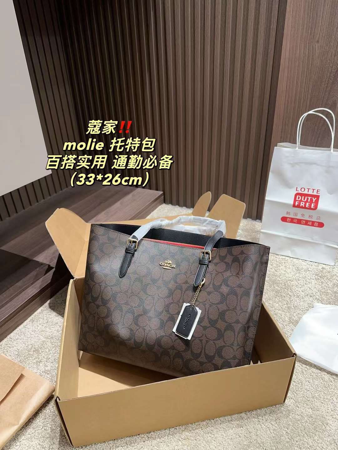 Luxury Brand Co-ach Mollie Tote bag for Women