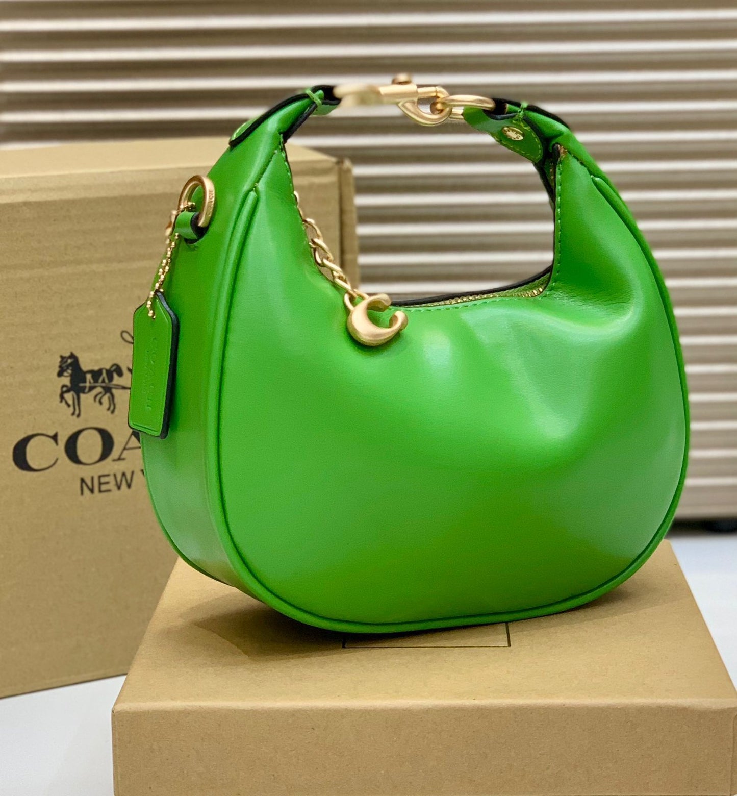 Premium Quality Coch (9 Colors)Jonnie Shoulder bag for Women