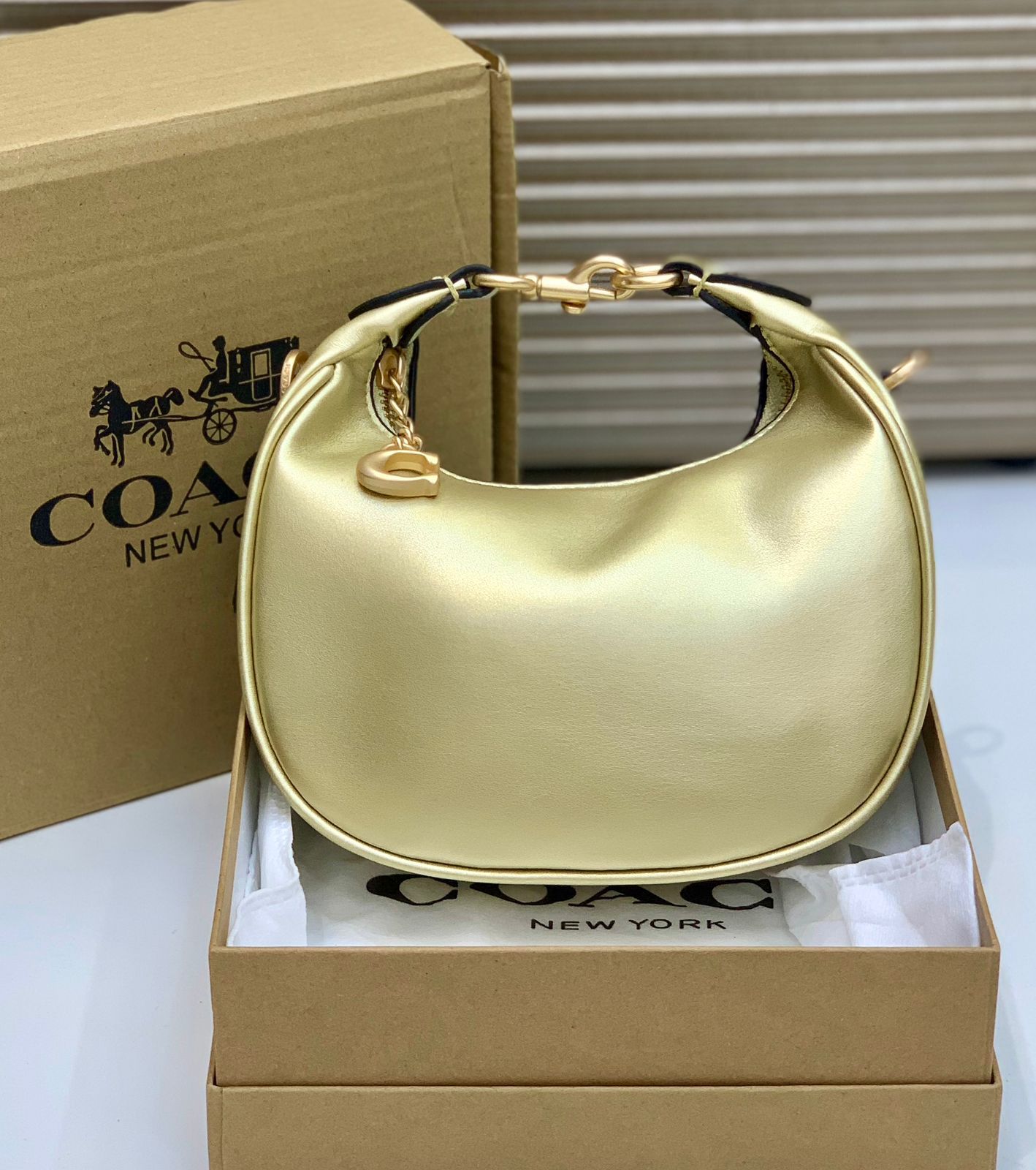 Premium Quality Coch (9 Colors)Jonnie Shoulder bag for Women