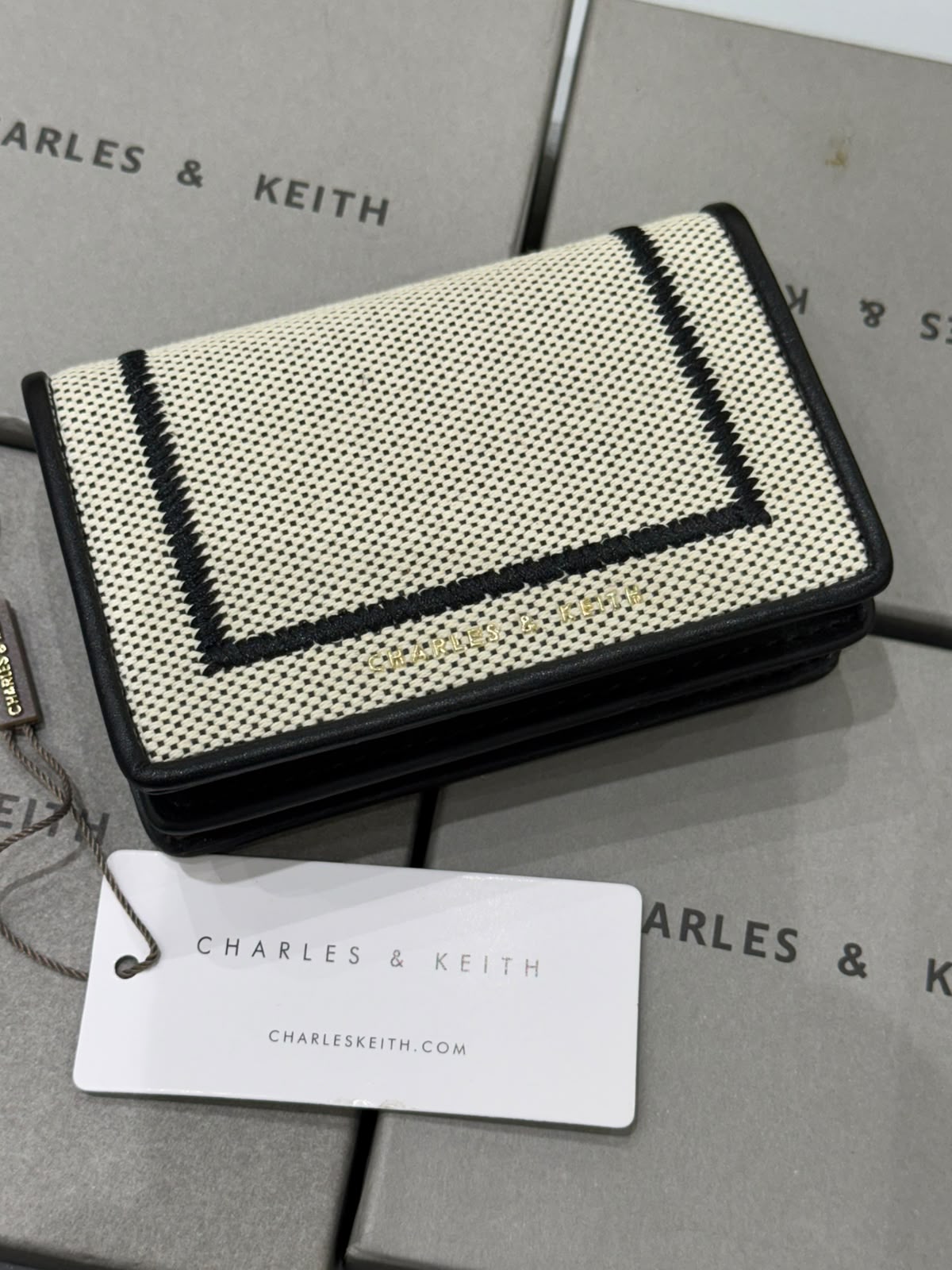 CHARLES & KEITH Astra Contrast Trim Wallet for Women