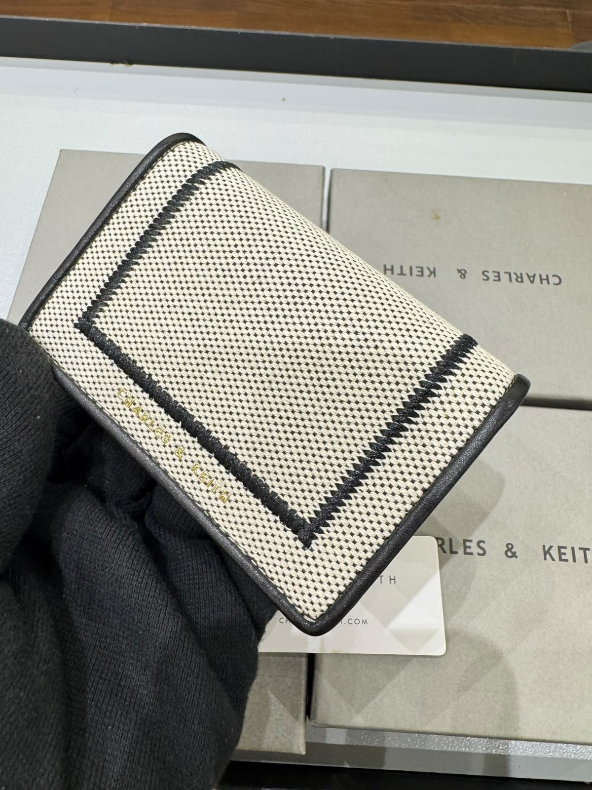 CHARLES & KEITH Astra Contrast Trim Wallet for Women