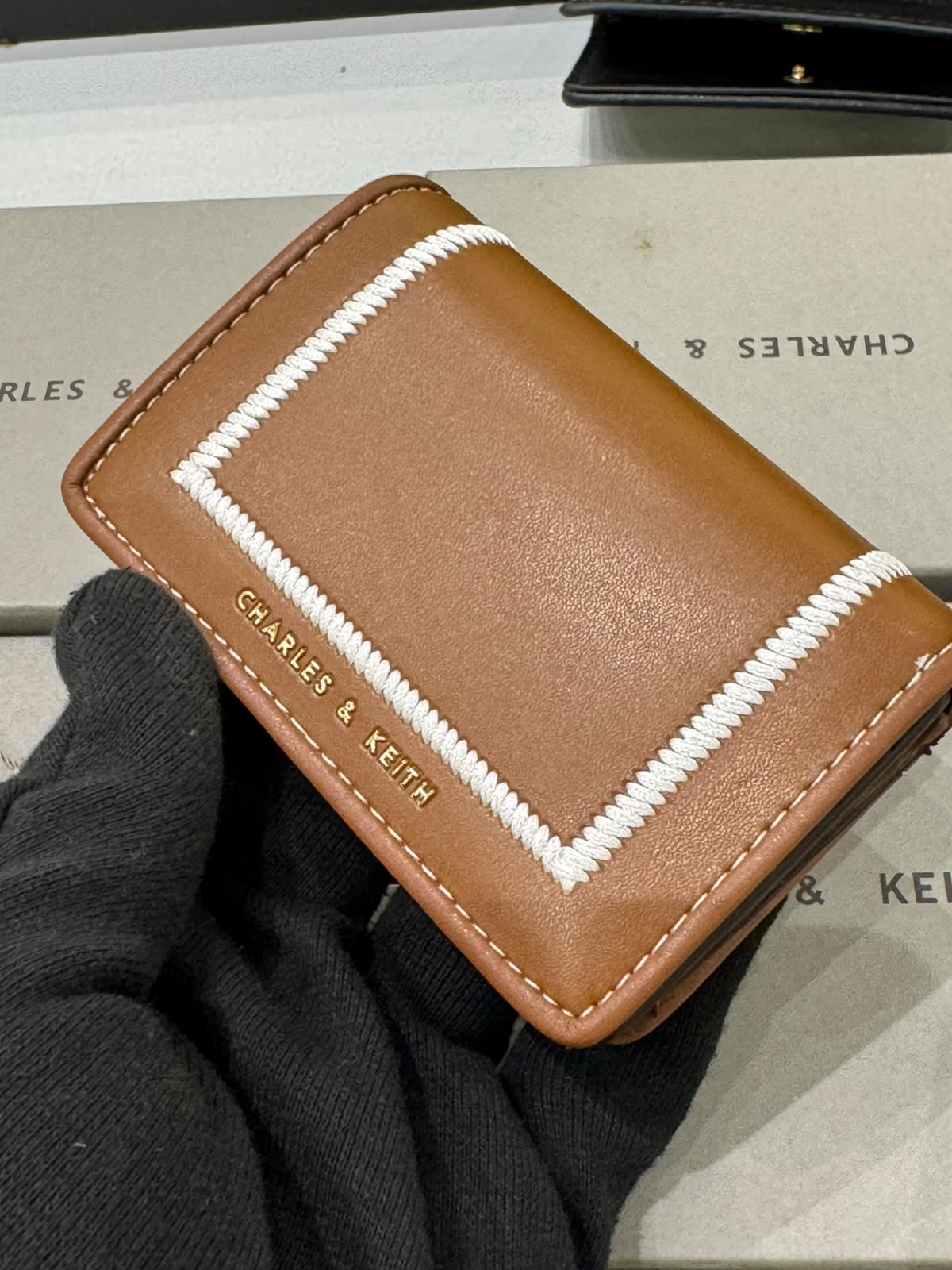 CHARLES & KEITH Astra Contrast Trim Wallet for Women