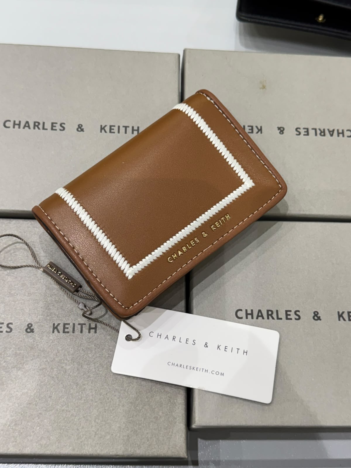 CHARLES & KEITH Astra Contrast Trim Wallet for Women