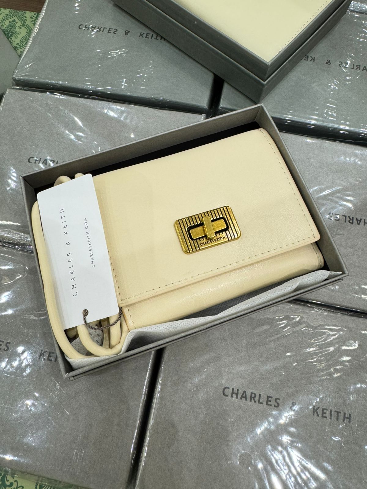 Charles & Keith Edna Turn lock Knotted Strap wallet for Women