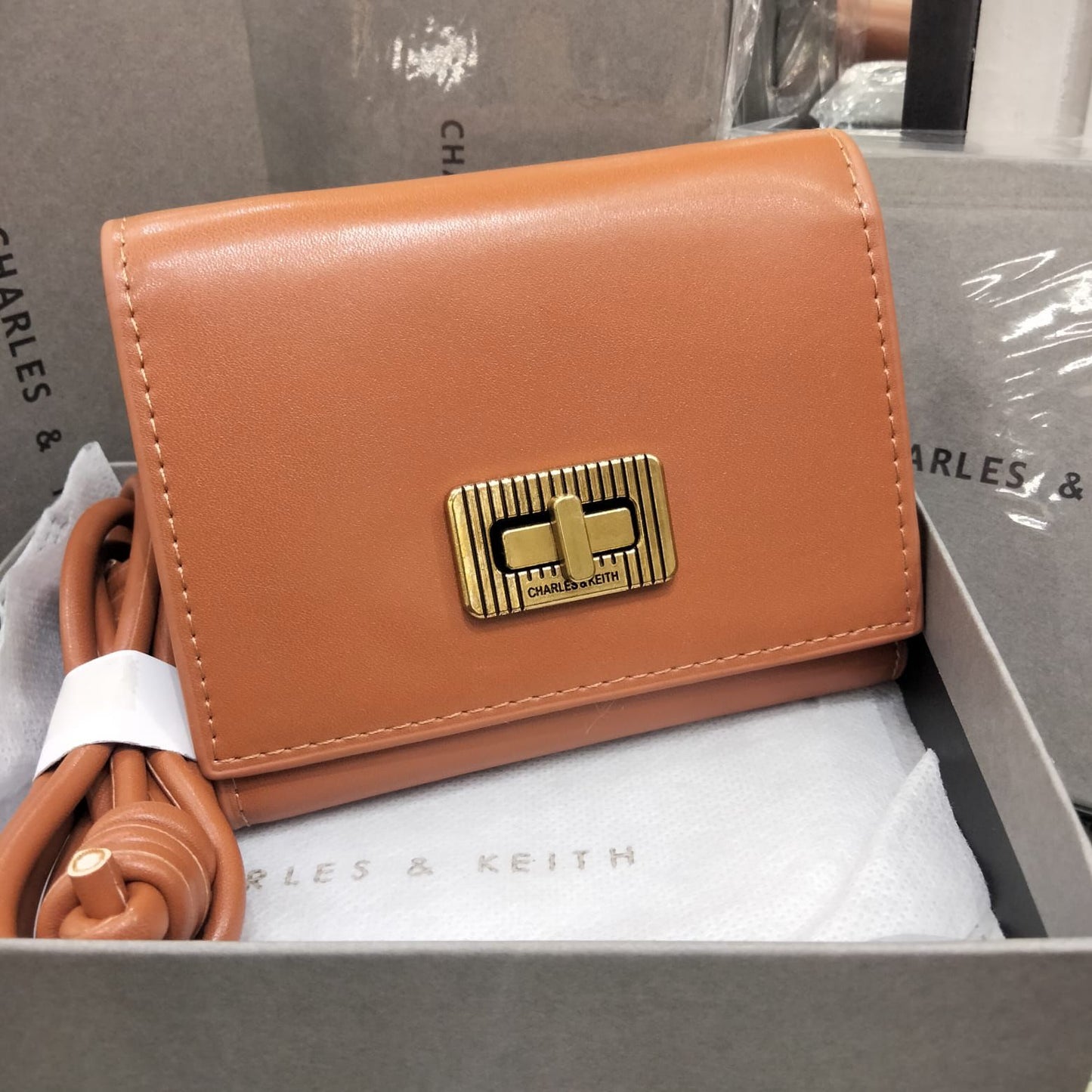 Charles & Keith Edna Turn lock Knotted Strap wallet for Women