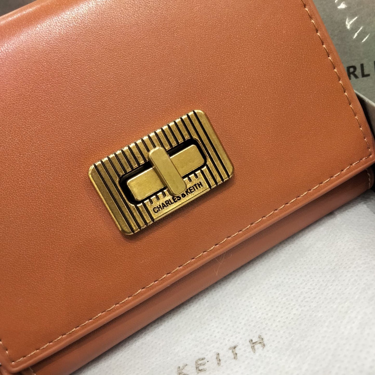 Charles & Keith Edna Turn lock Knotted Strap wallet for Women
