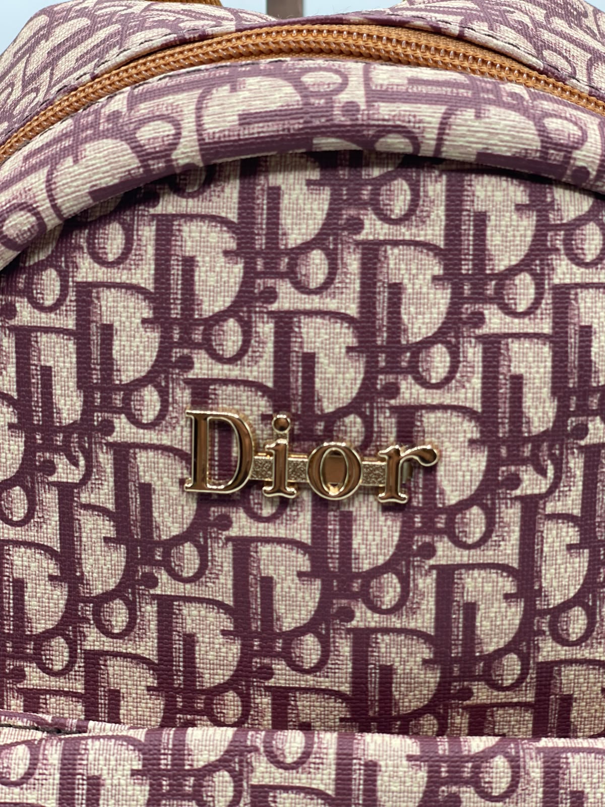 Dior Bagpack for Men and Women