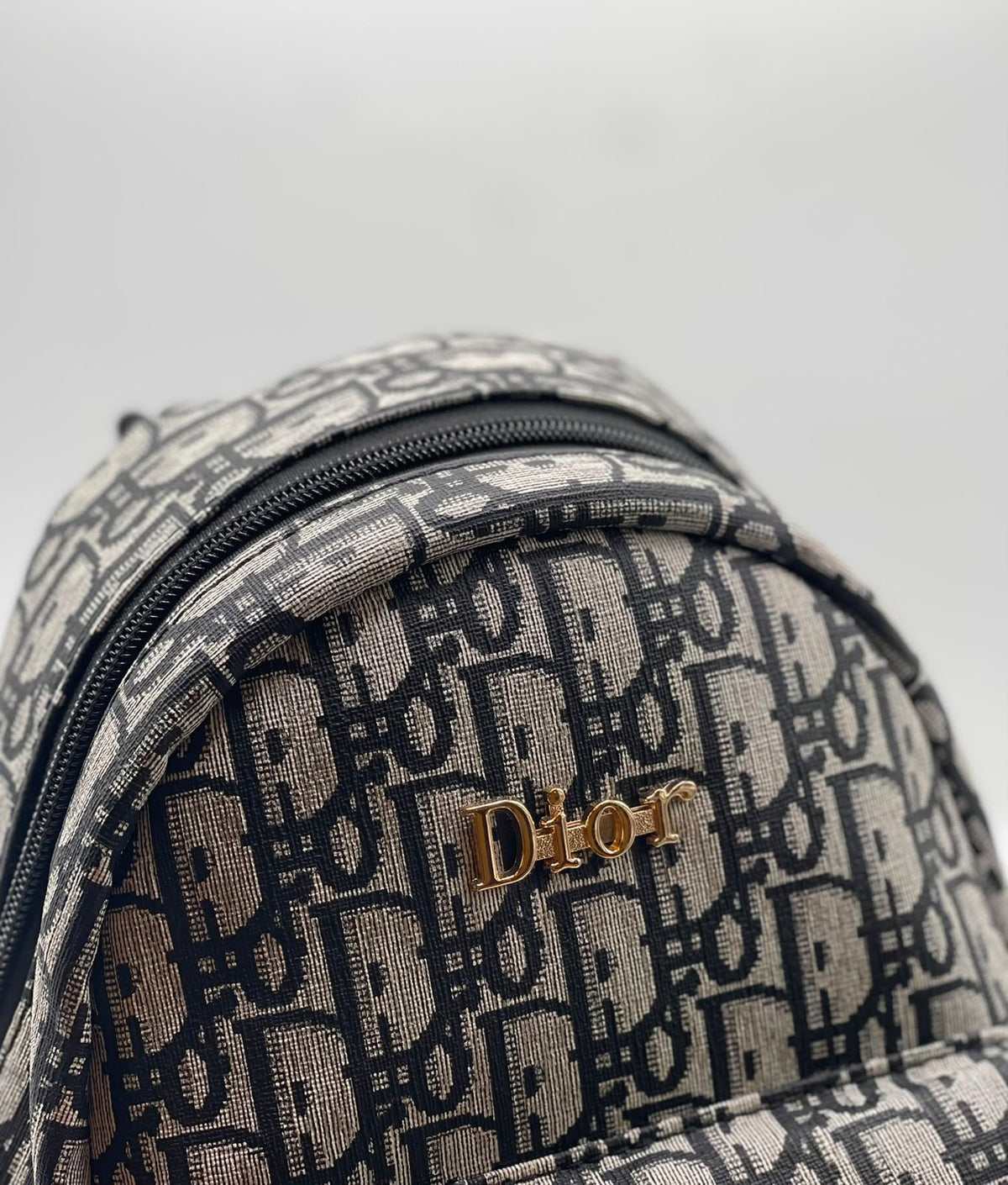 Dior Bagpack for Men and Women