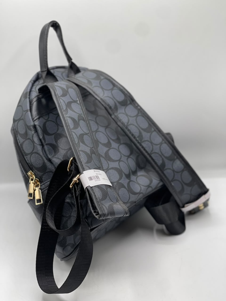 Coch Bagpack for Men and Women