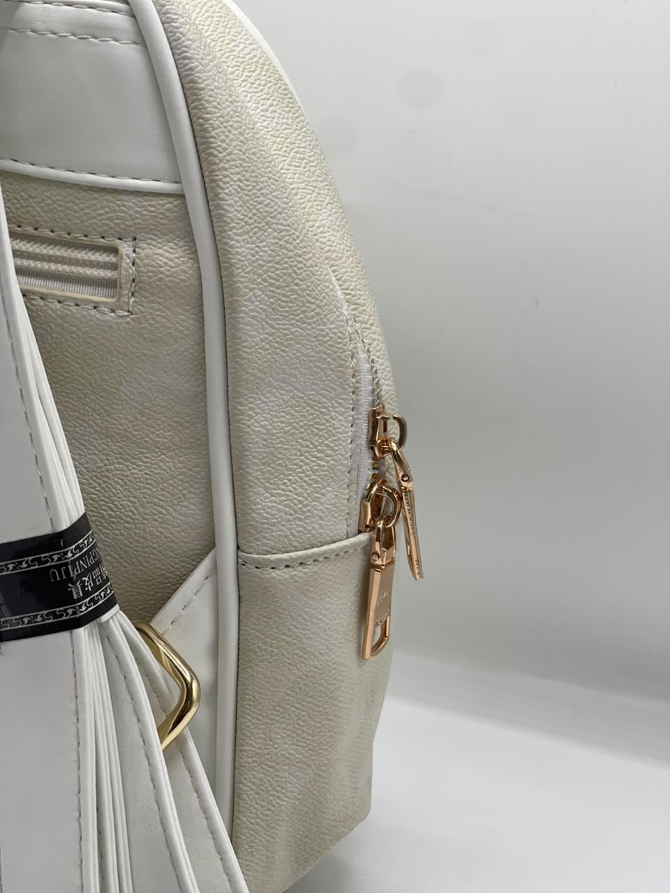 Coch Bagpack for Men and Women