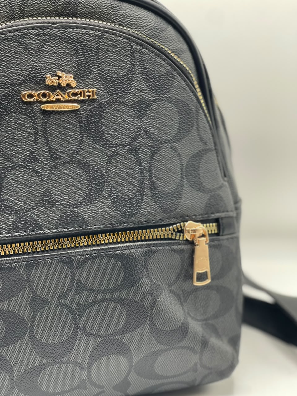 Coch Bagpack for Men and Women