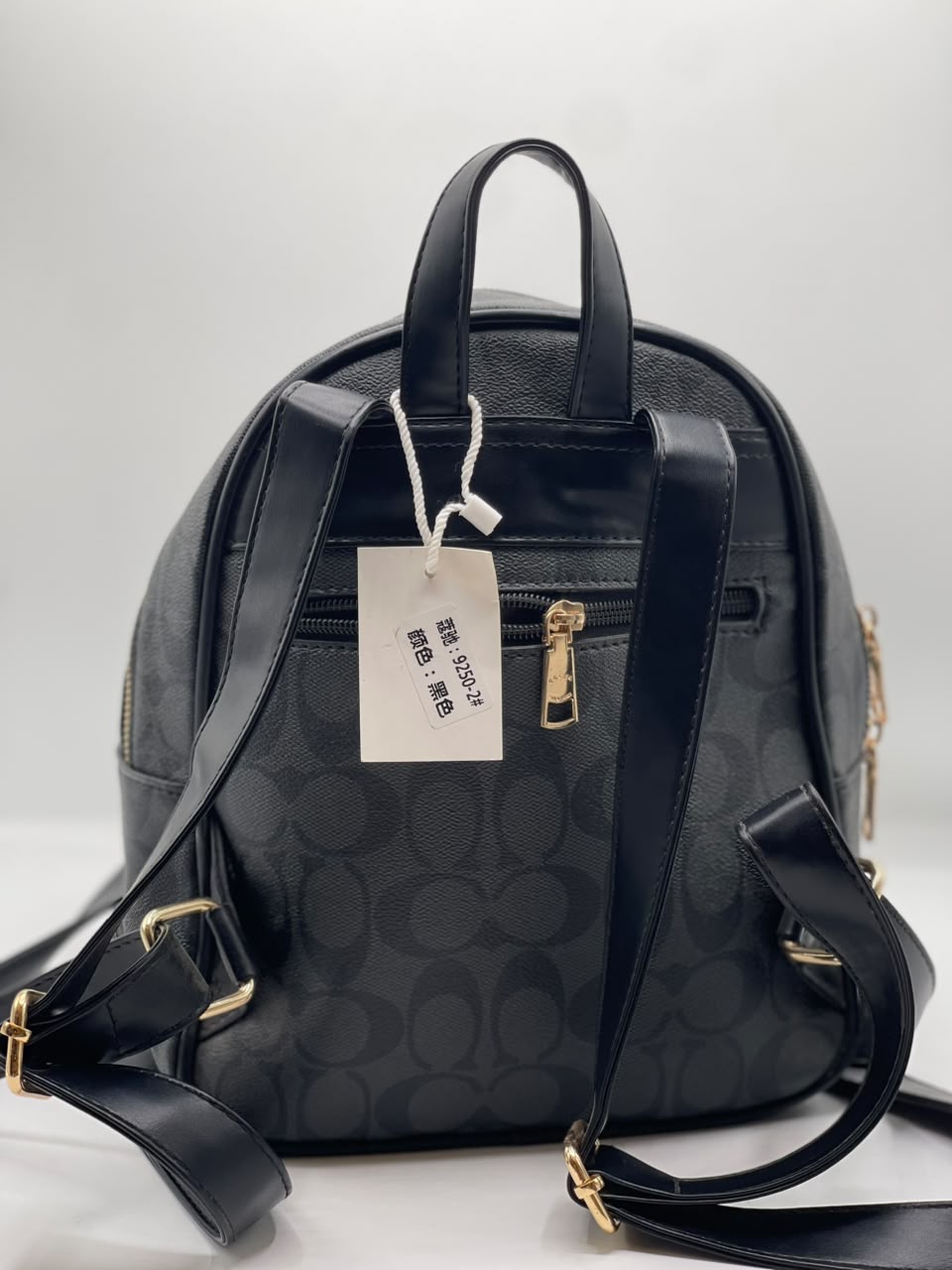 Coch Bagpack for Men and Women