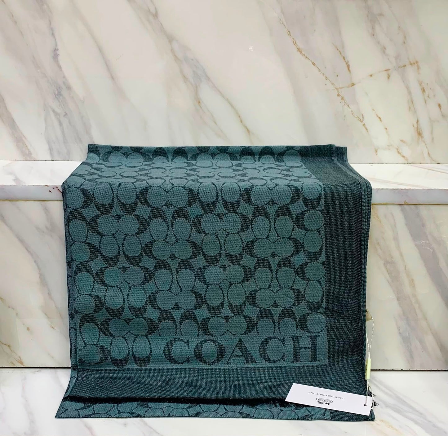 Coach Pashmina Scarves for Women