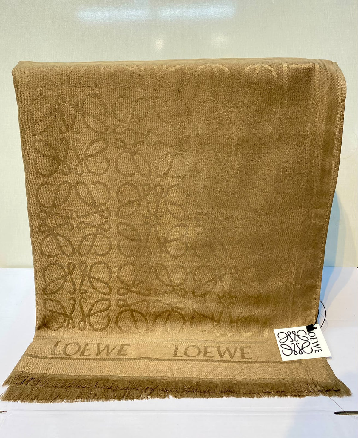 Loewe Scarves for Women