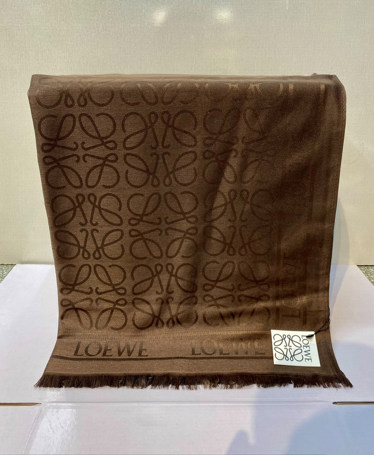 Loewe Scarves for Women