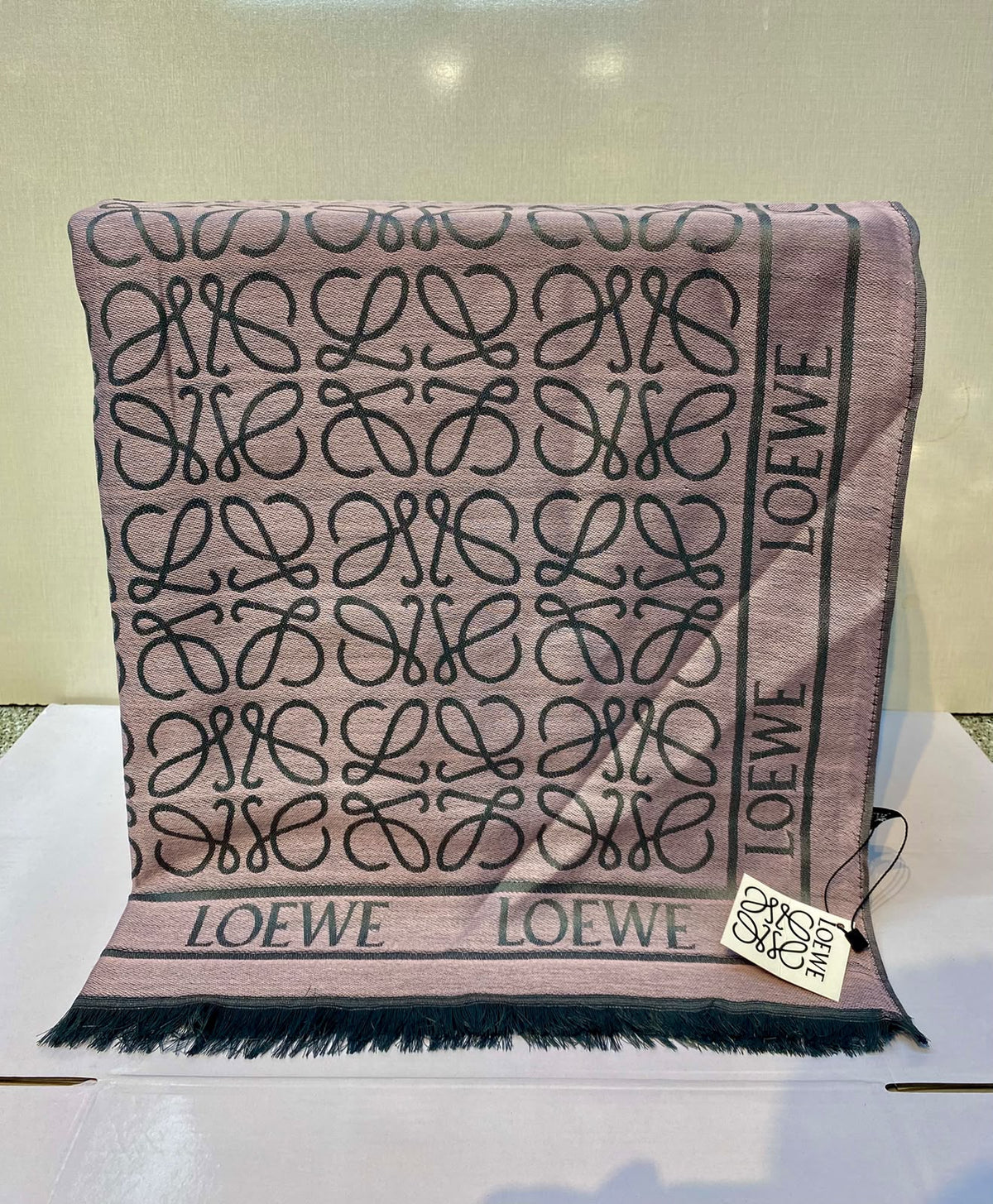 Loewe Scarves for Women