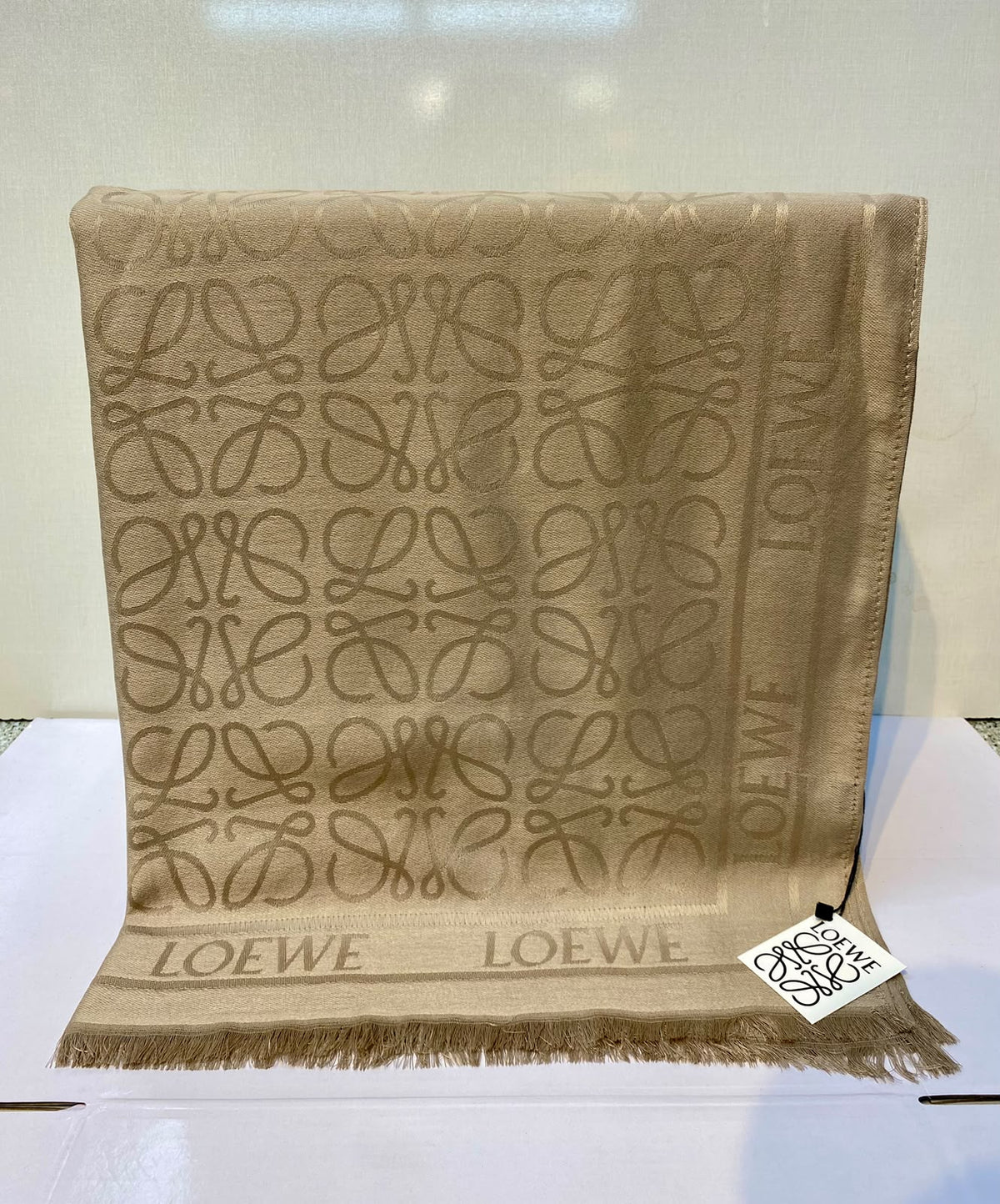 Loewe Scarves for Women