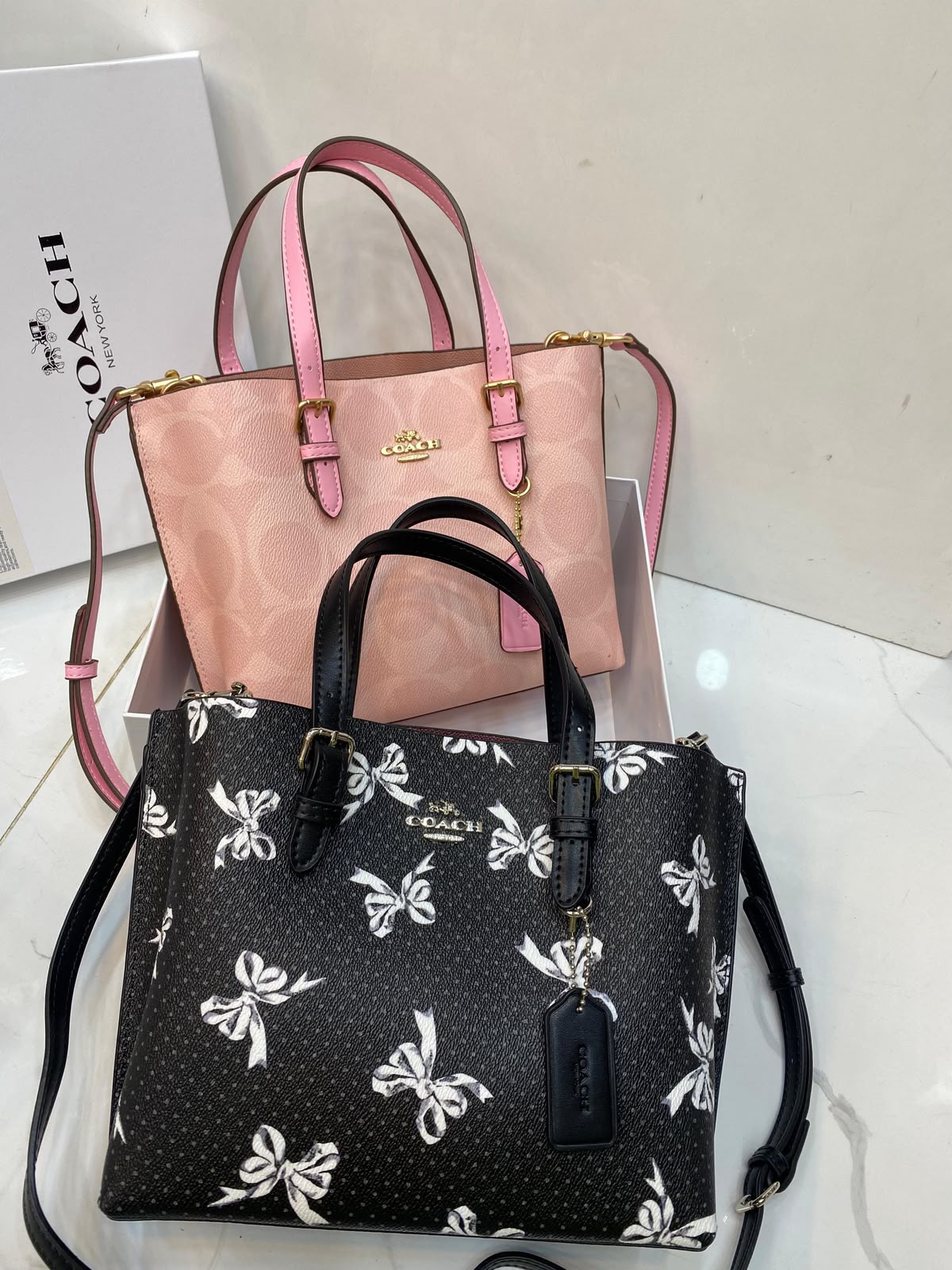 Coach Mollie Tote Bag for Women